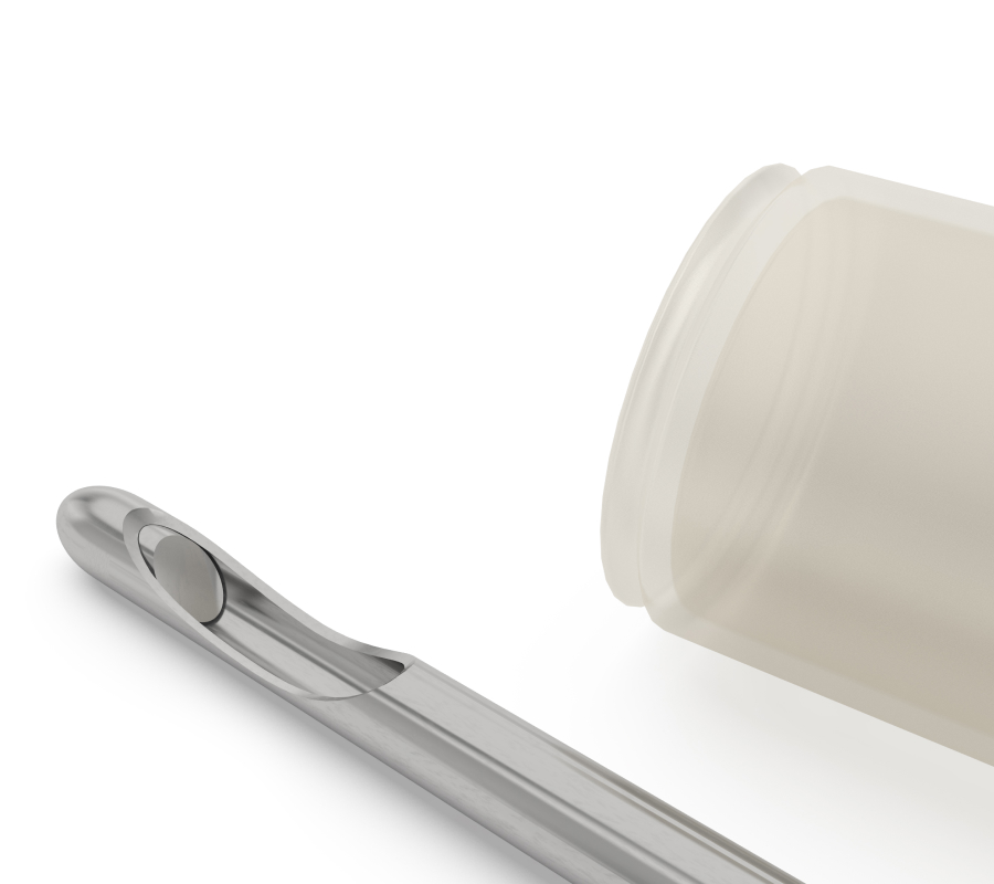 Excellence Elegance (EE)